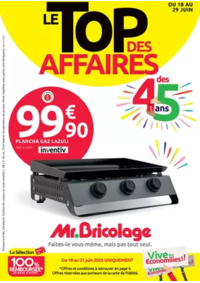 Prospectus Mr Bricolage PERPIGNAN : LE TOP DES AFFAIRES DES 45 ANS