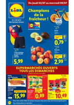 Prospectus Lidl : Faites un max d'économies chez Lidl avec une large sélection de produits en format XXL !