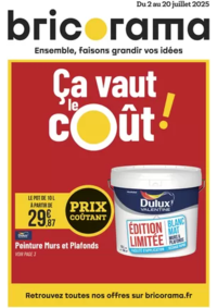 Prospectus Bricorama VILLEURBANNE : Ça vaut le cout!