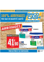 Prospectus  : C’est le moment de profiter des nouveaux arrivages Brico Cash !