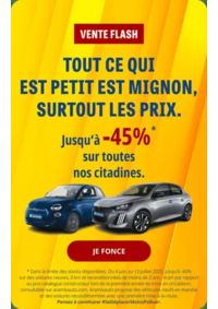 Prospectus Aramis Paris Porte de Gentilly : Vente Flash