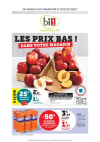 Prospectus bi1 AILLANT-SUR-THONON : LES PRIX BAS !