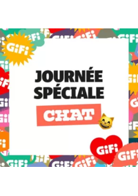 Prospectus Gifi SELESTAT : Une journée spéciale pour lui