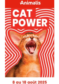 Prospectus Animalis Venette : Cat power