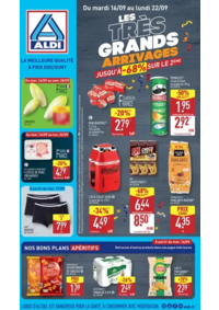 Prospectus Aldi Alençon 223 Rue des Tisons : Les très grandes arrivages