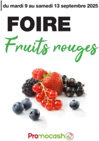 Prospectus Promocash Villefranche sur Saone : Catalogue Promocash