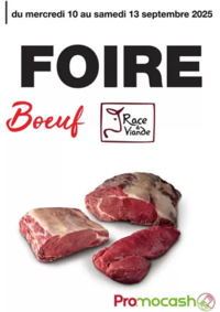 Prospectus Promocash Salaise sur Sanne : Catalogue Promocash