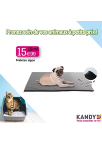 Prospectus KANDY ATTIN : PRENEZ SOIN DE VOS ANIMAUX A PETITS PRIX !
