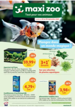 Prospectus maxi zoo : Plongez dans un monde magique !