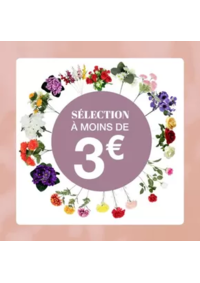Prospectus La Foir'Fouille Amberieu en Bugey ZAC de l'Aviation Lieu dit Terrau le marais : Toussaint en couleurs : nos fleurs illumineront vos souvenirs
