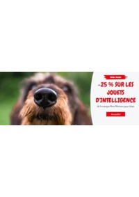 Prospectus Médor et Compagnie Saint Martin d’Hères : -25 % sur les jouets d'intelligence