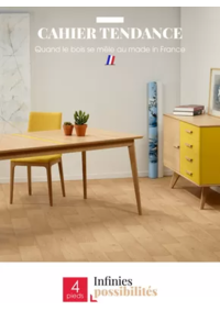 Prospectus 4 pieds TOULOUSE - PORTET-SUR-GARONNE : CAHIER TENDANCE