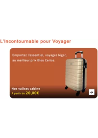 Prospectus Bleu cerise CC Carrefour Puget : Promotions