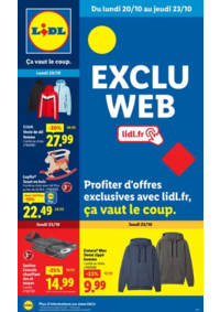Prospectus Lidl ST ANDRE SUR ORNE : Profiter d'offres exclusives avec lidl.fr, ça vaut le coup