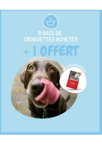 Prospectus Médor et Compagnie Sallanches : 9 sacs de croquettes achetés + 1 sac OFFERT