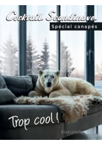 Prospectus Cocktail Scandinave Le Petit-Quevilly : Spécial canapés 2025