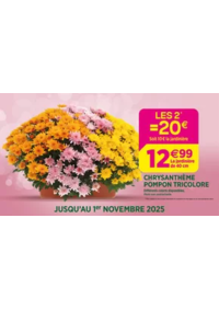 Prospectus Delbard Ruffec : Célébrons la Toussaint ensemble !