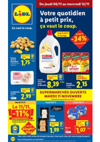 Prospectus Lidl TOUL : Retrouvez la gamme Favorina à prix Lidl : panettone, biscuits de Noël, pâte d'amande...
