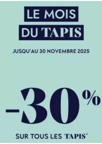 Prospectus Saint Maclou Chaintre Macon : Promos Tapis